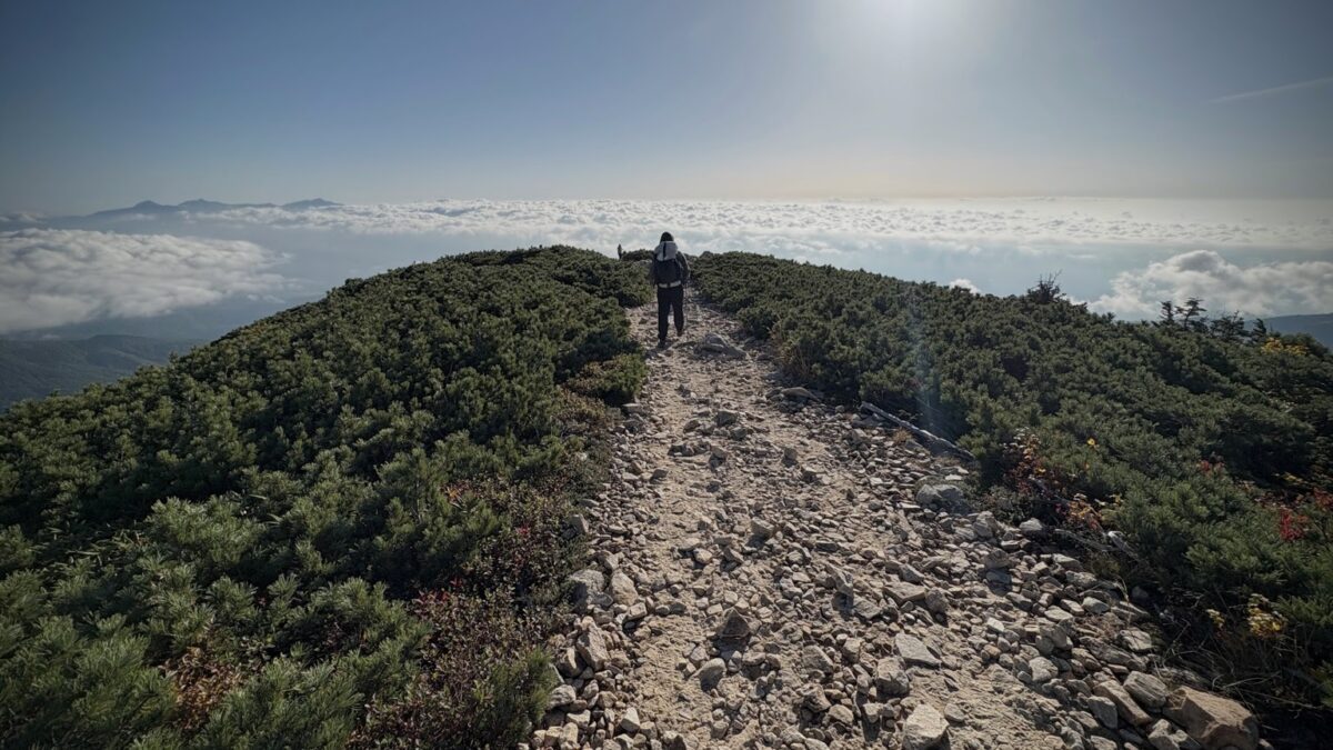 雲海の上を歩きながら、山の時間を静かに進んでいく後ろ姿