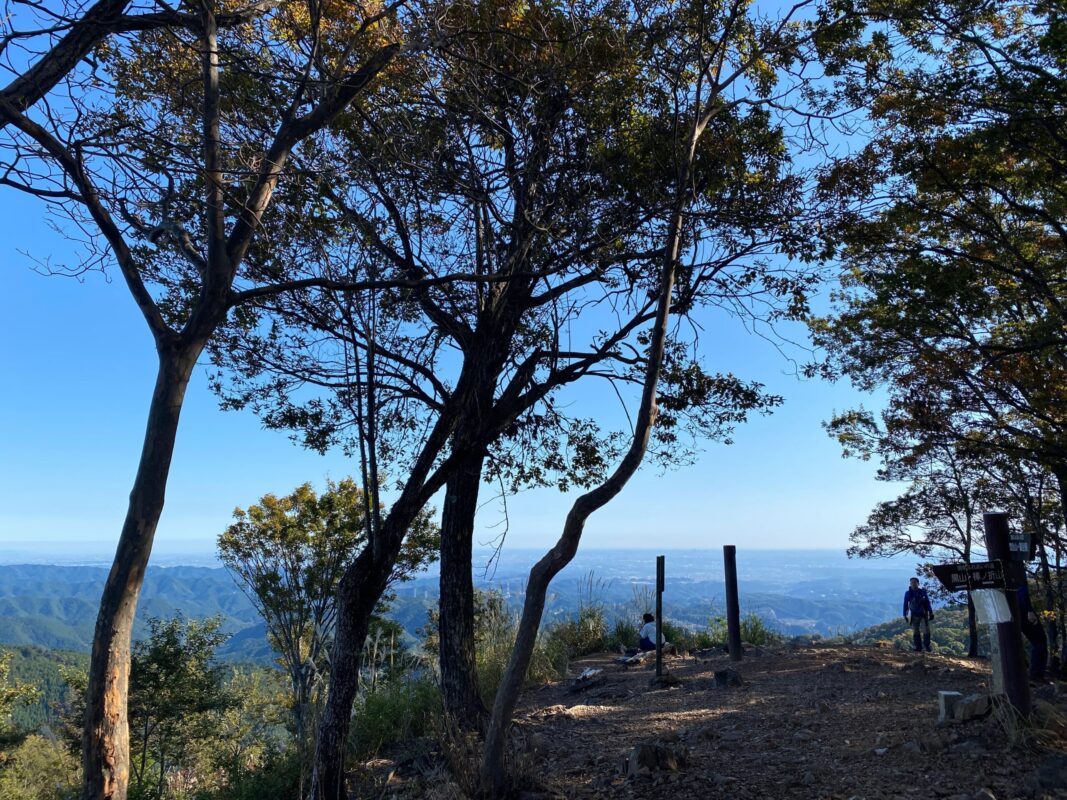 高水三山の登山道から見える奥多摩の山並み