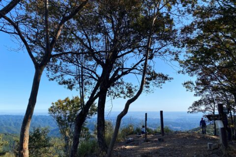 高水三山の登山道から見える奥多摩の山並み