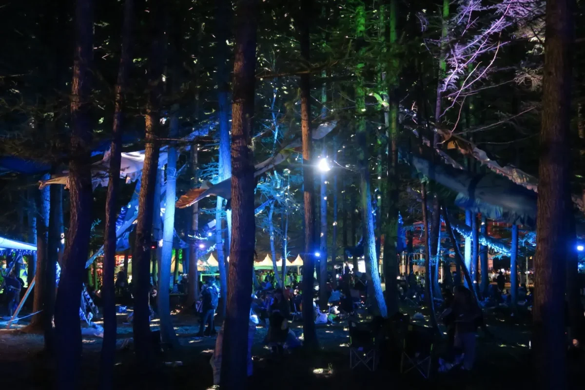 フジロックの夜の森エリアの幻想的な雰囲気