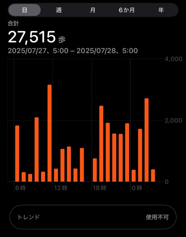 フジロックで1日に27000歩歩いた記録