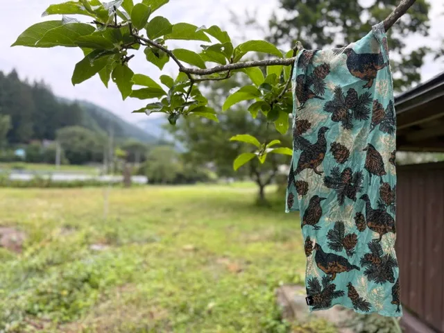 フジロック用のチャオラス手ぬぐい